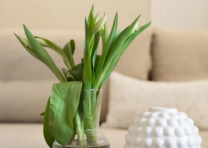 Hillhouse By Mw Estates Self Check-in 24h דירה ורוצלב